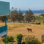 Marina Pichilemu